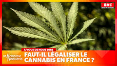 Faut-il légaliser le cannabis en France ? Vingt arguments pour se forger une opinion